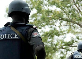 Nine Arrested In Gombe For Thuggery, Armed Robbery, Criminal Conspiracy