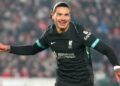 Núñez Ends Anfield Drought As Liverpool Beat Southampton To Widen PL Gap