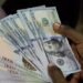 Naira Slumps Against Dollar, Euro, and Pound