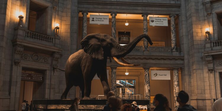 Trump Takes Aim at Smithsonian Museums Over Alleged ‘Anti-American’ Content