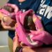 U.S. Influencer Faces Backlash After Taking Baby Wombat from Its Mother