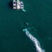 Plane Crashes Off Honduras Coast, Killing 12