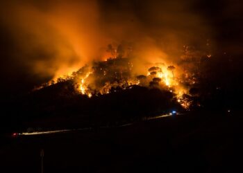 South Korea Declares Emergency as Wildfires Claim 28 Lives
