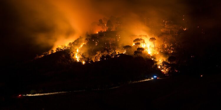 South Korea Declares Emergency as Wildfires Claim 28 Lives