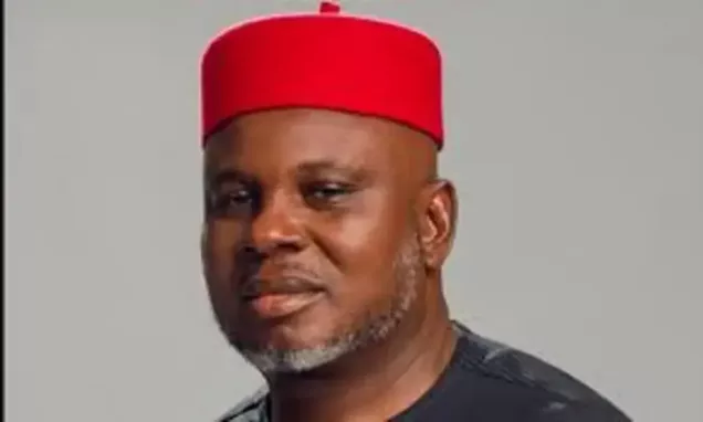 Ukachukwu Wins APC Primary with Better Results in Anambra