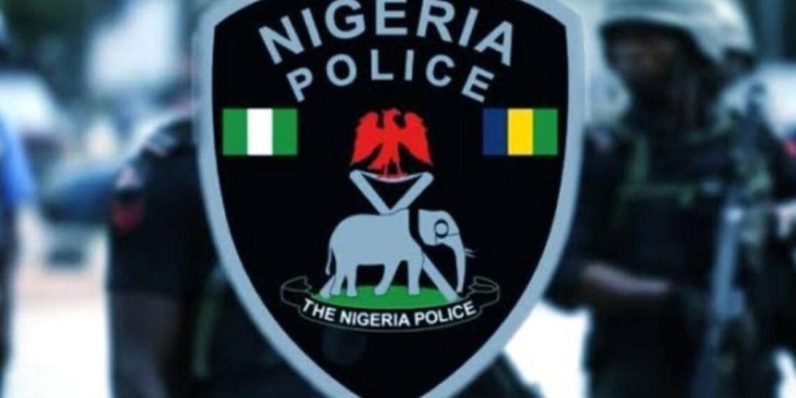 Abuja Protests Turn Violent as Nigerian Police Fire Tear Gas at Demonstrators