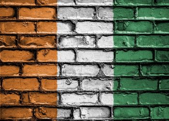 Ivory Coast Court Bars Ex-PM Guillaume Thiam From Elections Over French Dual Citizenship