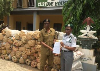 Customs Seize N112m Worth Of Indian Hemp In Ekiti, Suspects Flee On Bail