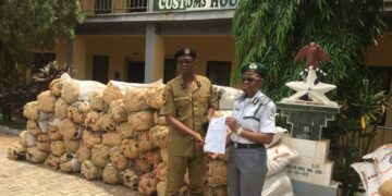 Customs Seize N112m Worth Of Indian Hemp In Ekiti, Suspects Flee On Bail