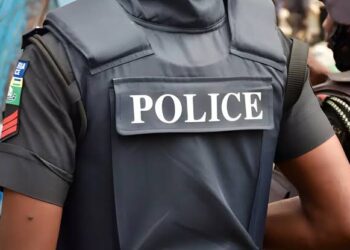 Niger Police Arrest Two Over Motorcycle Theft, Conspiracy