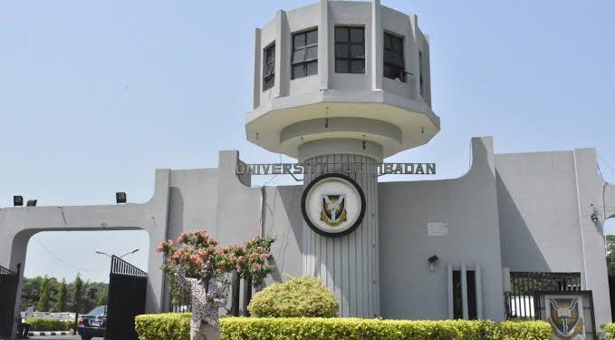 University of Ibadan Warns Female Students About Risks of Egg Donation for Money