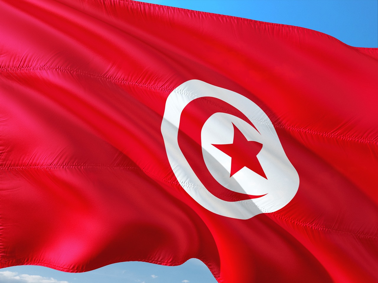 Robert Vieira Released After 13-Month Detention in Tunisia