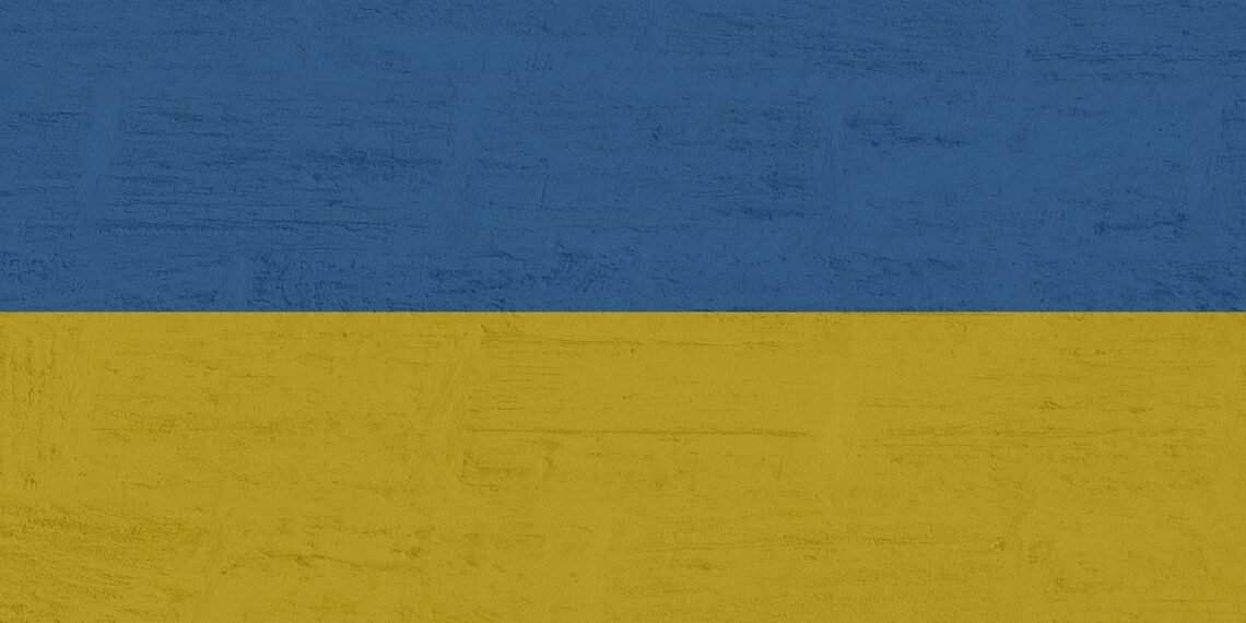 Russian Drone Strike Kills One in Zhytomyr Region