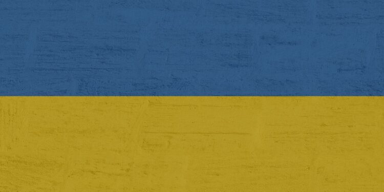 Russian Drone Strike Kills One in Zhytomyr Region