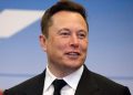 What Do the New Epstein Files Reveal About Elon Musk and Prince Andrew?