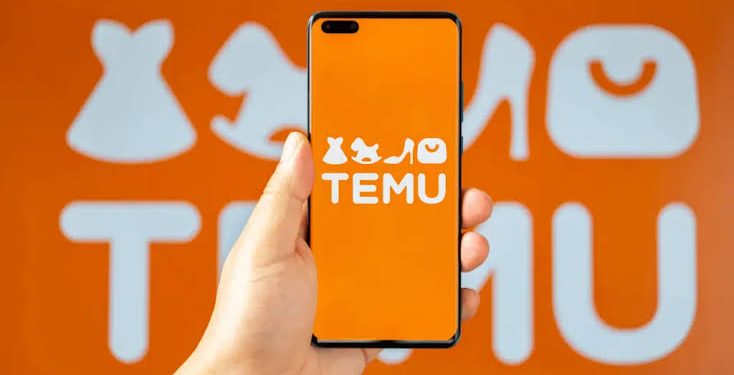 Temu Owner's Profits Plunge Amid US-China Trade War