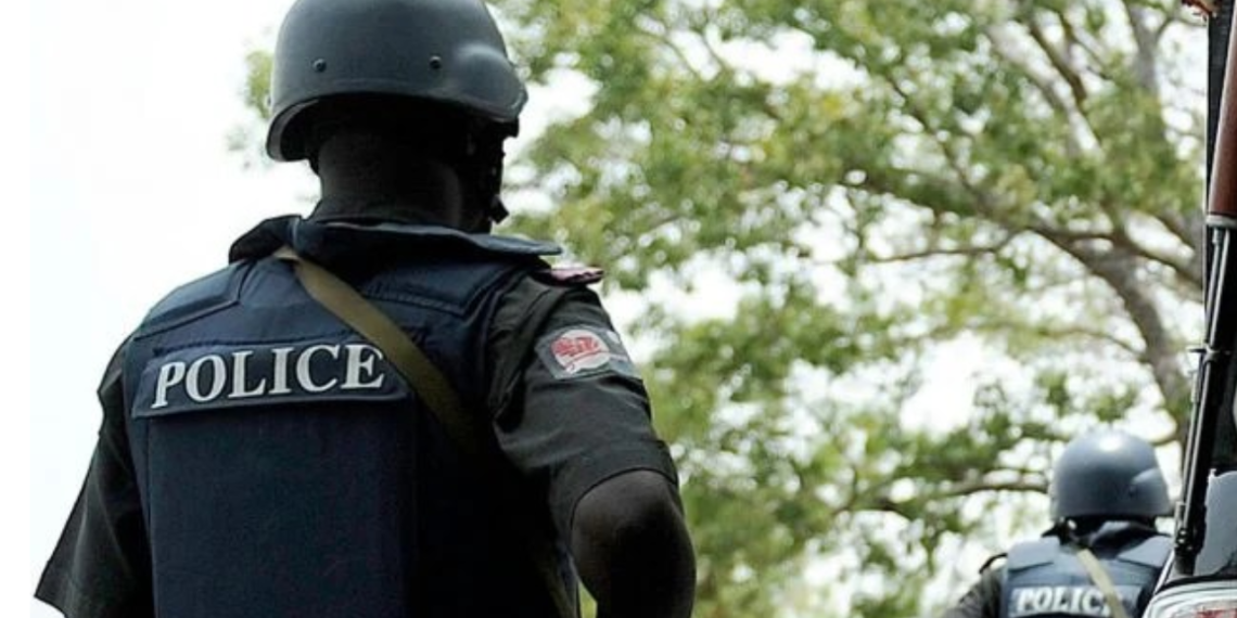 Kano Police Arrest Suspect For Armed Robbery, Homicide
