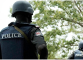 Kano Police Arrest Suspect For Armed Robbery, Homicide