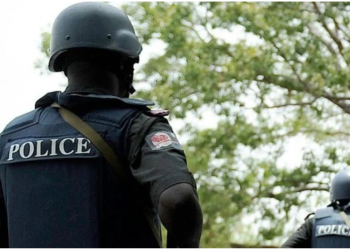 Kano Police Arrest Suspect For Armed Robbery, Homicide