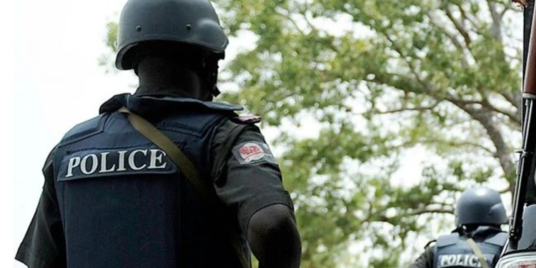 Kano Police Arrest Suspect For Armed Robbery, Homicide