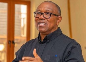 Peter Obi Condemns Arrest of VeryDarkMan, Urges Respect for Law