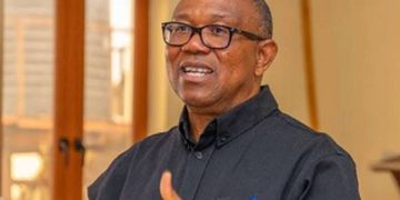 Peter Obi Condemns Arrest of VeryDarkMan, Urges Respect for Law