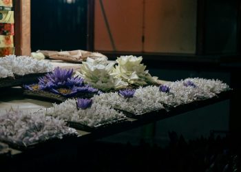 Jeju Air Crash Families Sue South Korea Minister, 14 Officials