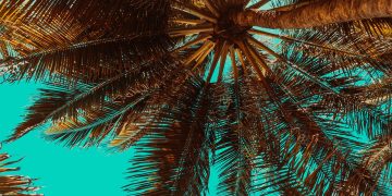 How to Enjoy the Summer Vibes in Nigeria’s Tropical Climate