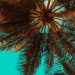 How to Enjoy the Summer Vibes in Nigeria’s Tropical Climate