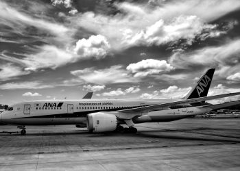 Tokyo-Bound Flight Diverts After Passenger Door Incident