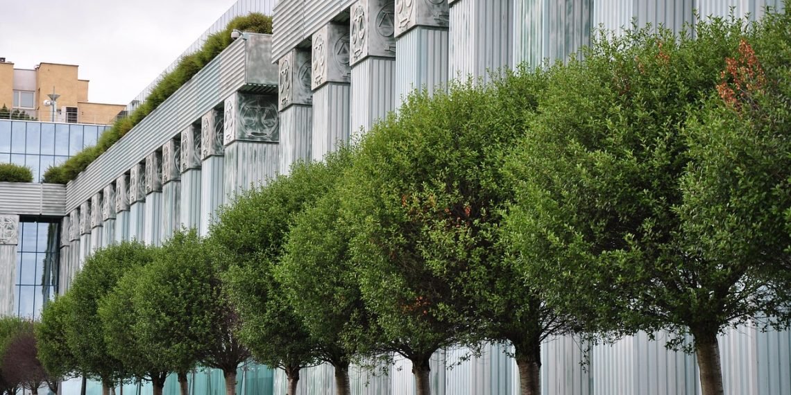 Supreme Court Backs Trump On Migrant Parole Revocation