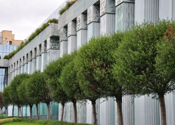 Supreme Court Backs Trump On Migrant Parole Revocation