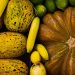Senate moves to ban chemical fruit ripening over health concerns