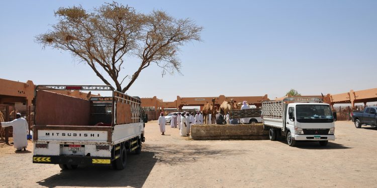Hungry Mobs Loot Gaza Warehouse - WFP Reports