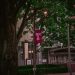 US College Student Suspended for Antisemitic Bar Sign
