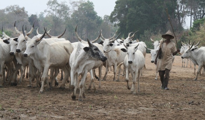 Are the Fulani Herdsmen Unstoppable?