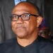 Presidency Slams Peter Obi as ‘Shallow’, Dismisses Economic Claims
