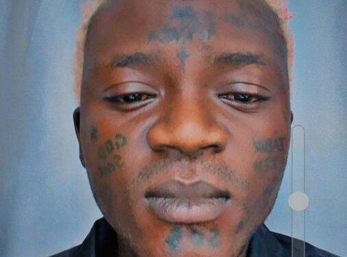 Why I Need To Return To School - Portable