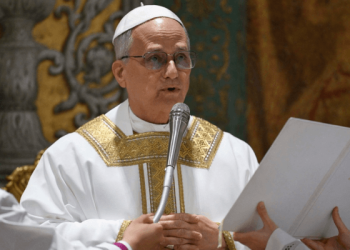 Pope Leo Urges Global Leaders to Address AI's Societal Impact