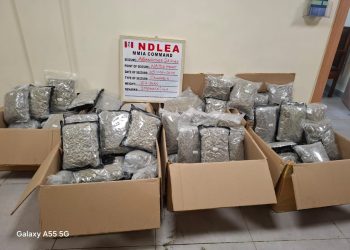 NDLEA Intercepts Illegal Psychoactive Substances Hidden In Green Tea Packaging