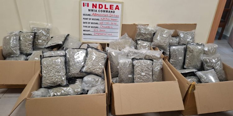 NDLEA Intercepts Illegal Psychoactive Substances Hidden In Green Tea Packaging