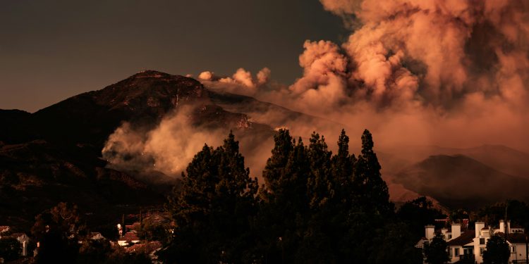 Wildfires Rage in Turkey, France as Early Heatwave Scorches Europe