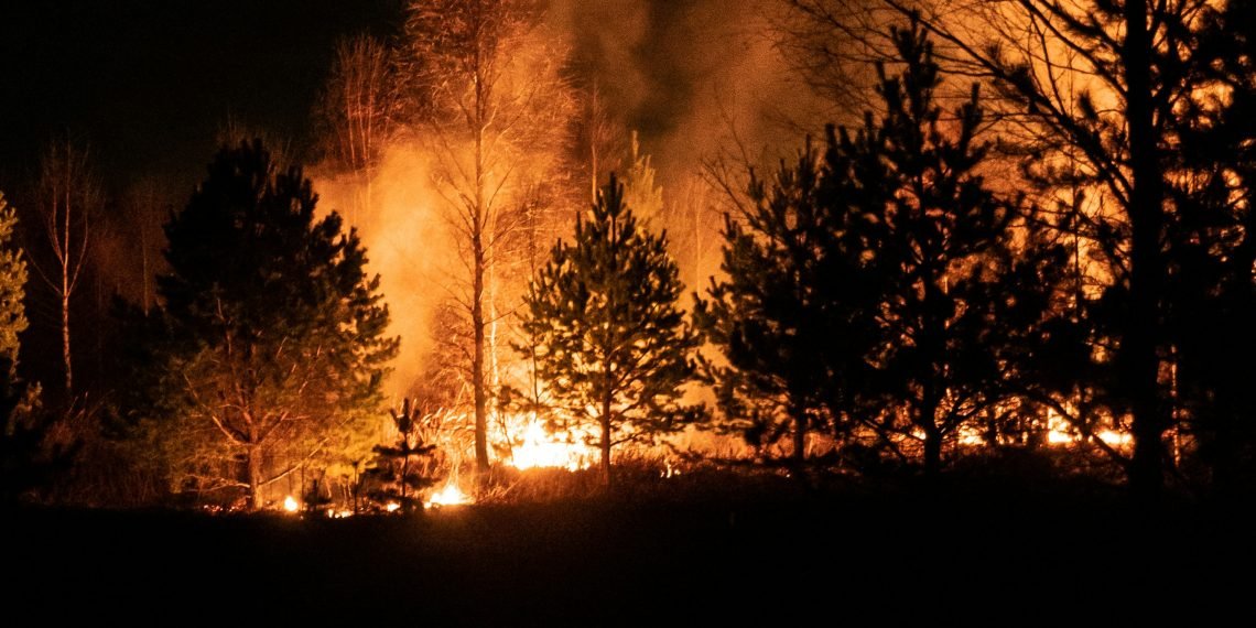 Wildfires Ravage Greek Island of Chios