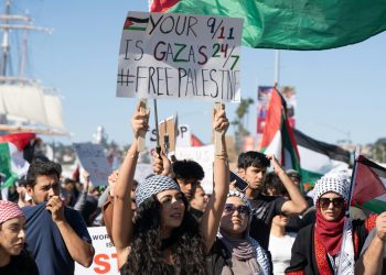 Netherlands Protesters Demand Sanctions Against Israel Over Gaza War