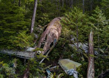 India Plane Crash: London-Bound Jet Goes Down with 242 Aboard