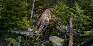 India Plane Crash: London-Bound Jet Goes Down with 242 Aboard