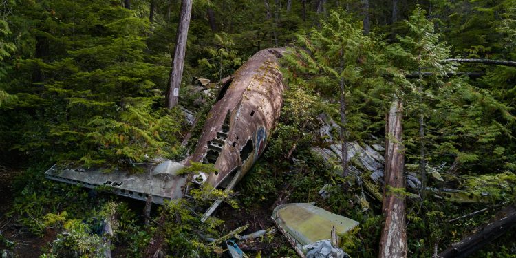 India Plane Crash: London-Bound Jet Goes Down with 242 Aboard