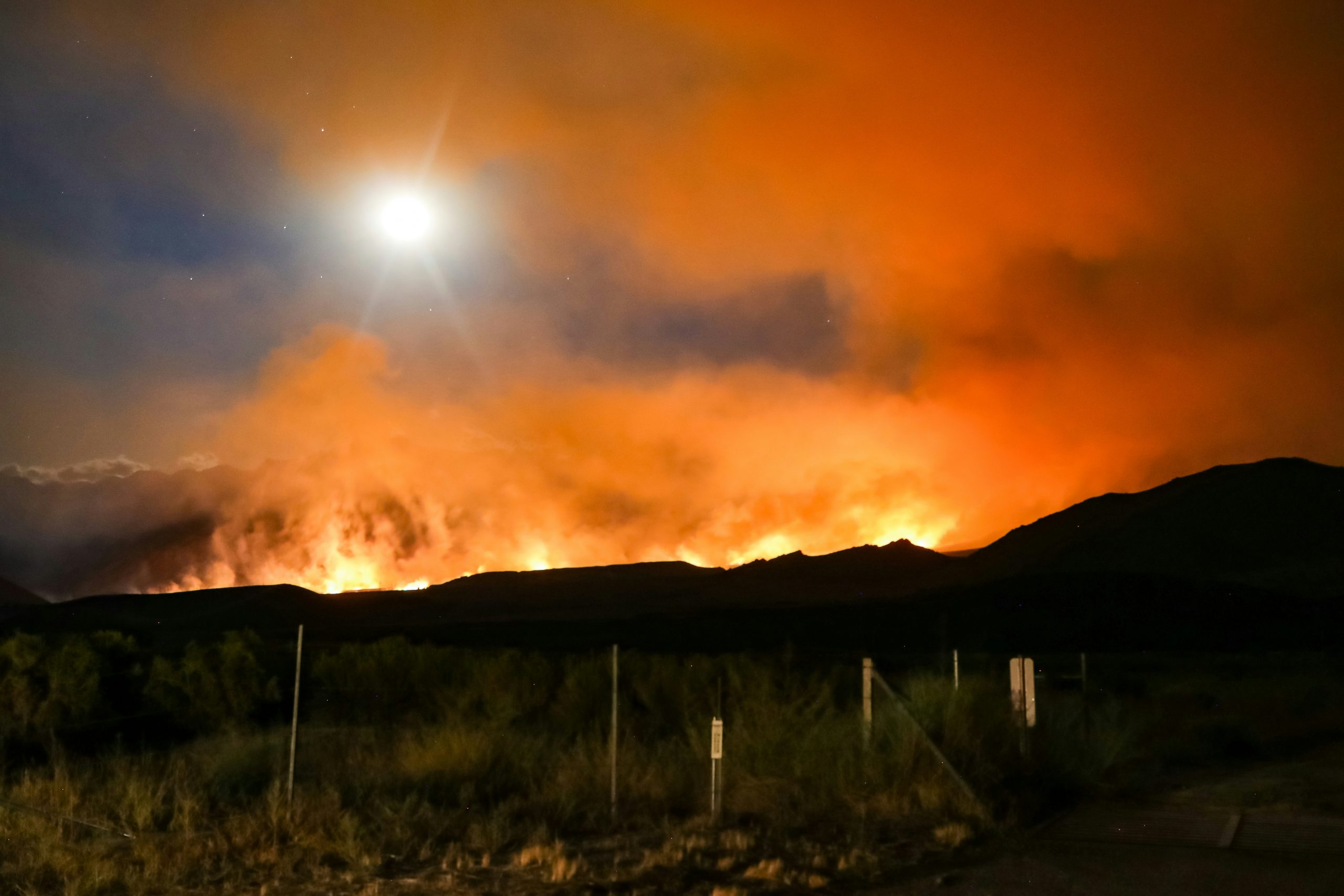 Wildfires Rage in Turkey, France as Early Heatwave Scorches Europe
