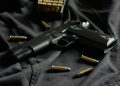 Austria Tightens Gun Laws After School Massacre