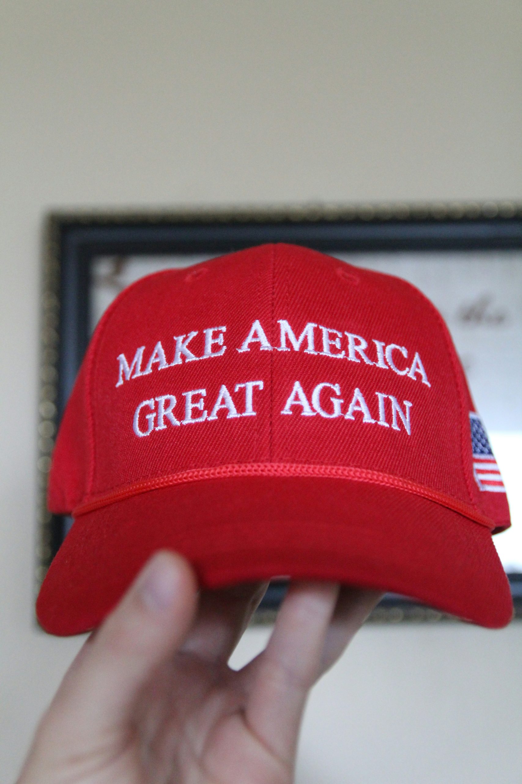How Trump Helped Mamdani Win